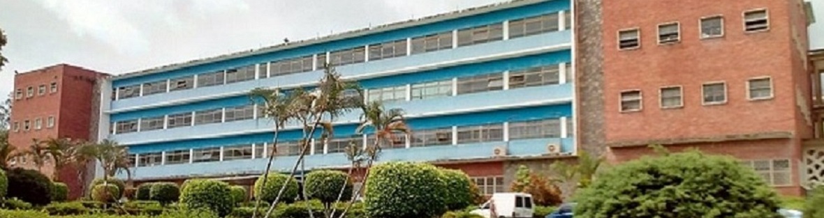 Formación Patriotica