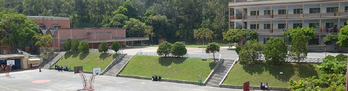 Formación Académica 